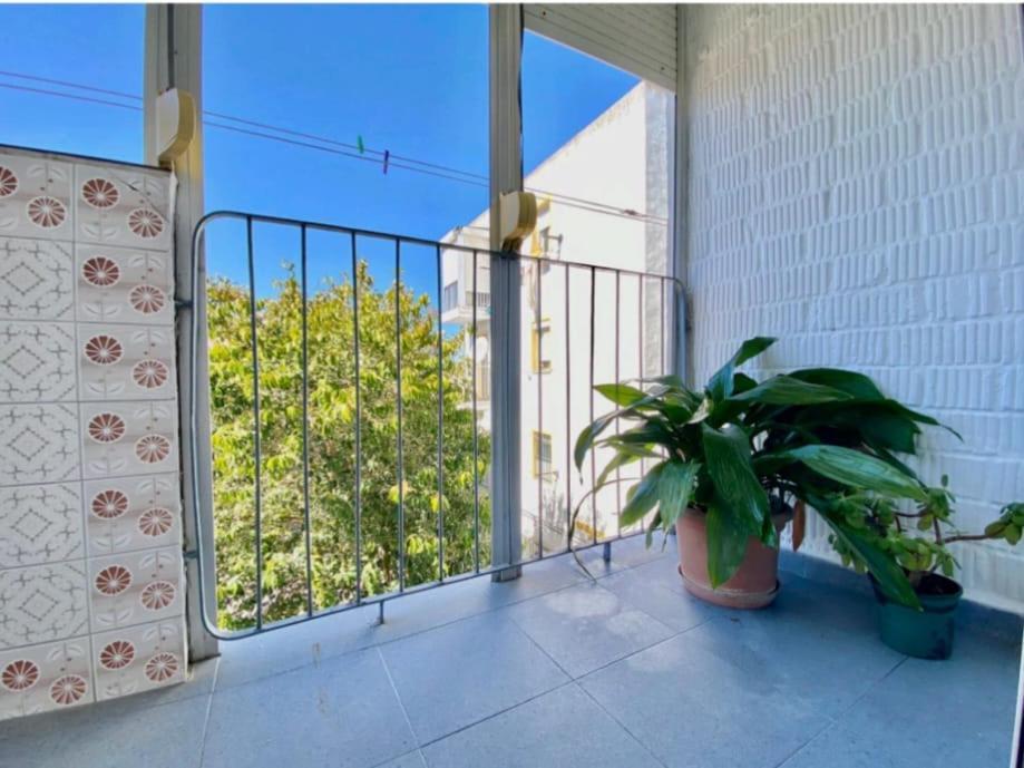 Apartmán Solea Jerez de la Frontera Exteriér fotografie